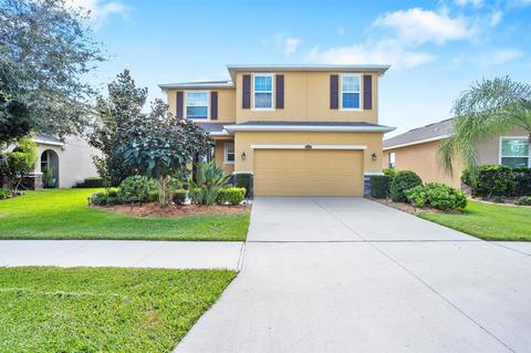 10509 Avian Forrest Dr, Riverview, FL 33578 photo 1