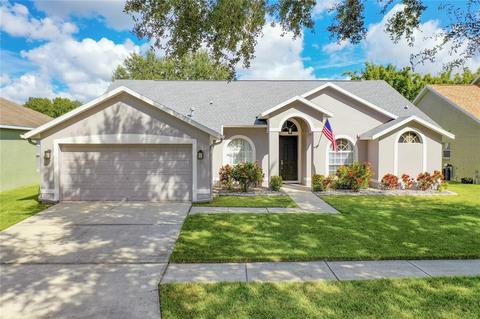 7227 Bucks Ford Dr, Riverview, FL 33578 photo 1