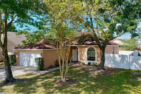 11540 Wellman Dr, Riverview, FL 33578 photo 1