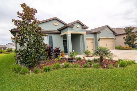 11720 Cork Blarney Loop, Riverview, FL 33579 photo 1