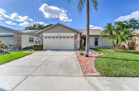 13103 Cabral Pl, Riverview, FL 33579 photo 1