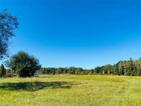 Correia Drive, Zephyrhills, FL 33542