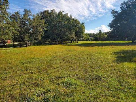 406 River Bed Ct, Wimauma, FL 33598 photo 1