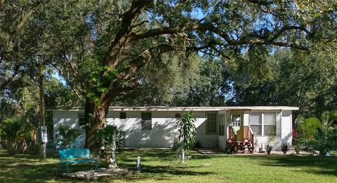 12916 Darla Dr, Riverview, FL 33579 photo 1