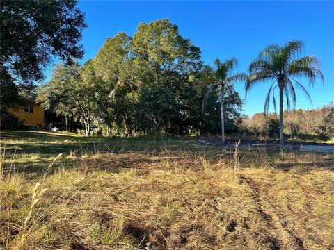 2323 Brookside Dr, Lutz, FL 33558 photo 1