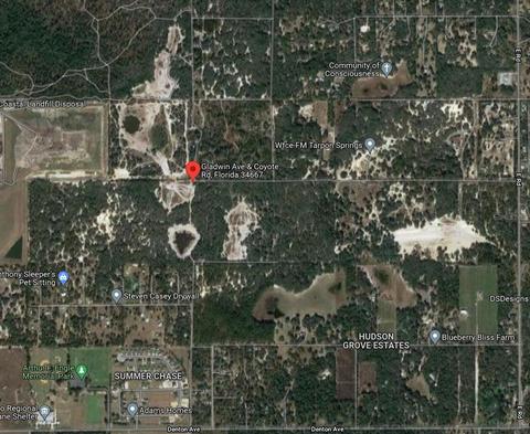 Coyote Road, Hudson, FL 34667