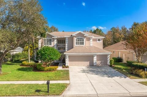 18711 Chaville Rd, Lutz, FL 33558 photo 1