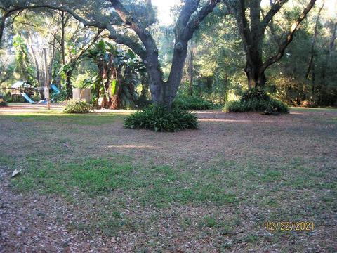 721 S Taylor Rd, Seffner, FL 33584 photo 1