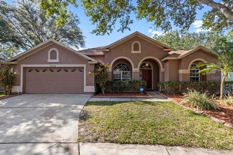 10228 Ashley Oaks Dr, Riverview, FL 33578 photo 1