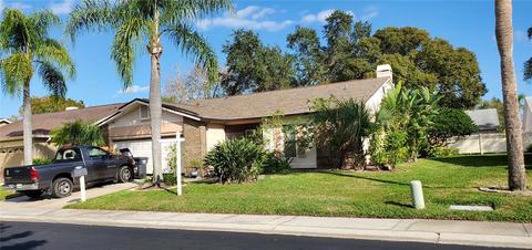 13108 Elgar Pl, Riverview, FL 33579 photo 1