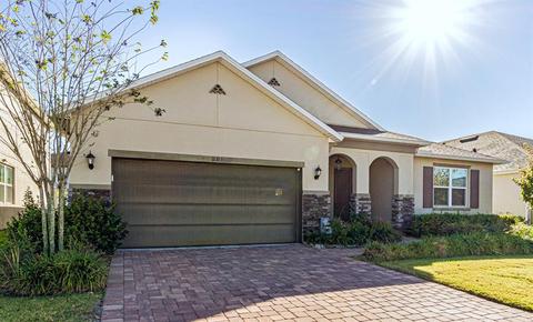 11313 Brighton Knoll Loop, Riverview, FL 33579 photo 1