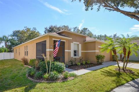 5604 Hawklake Rd, Lithia, FL 33547 photo 1