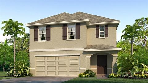 11948 Downy Birch Dr, Riverview, FL 33579 photo 1