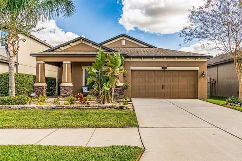 11524 Blue Crane St, Riverview, FL 33569 photo 1