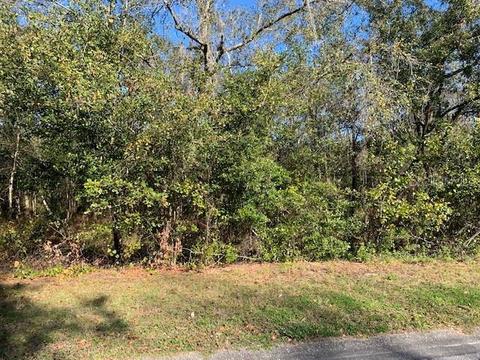 Lot 16 Lake Hills Drive, Riverview, FL 33569