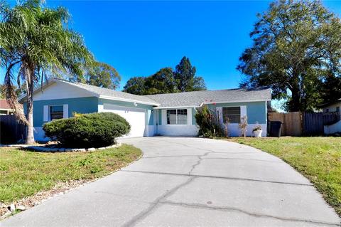1009 Cornwall Ct, Brandon, FL 33510 photo 1