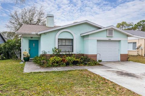 13352 Laraway Dr, Riverview, FL 33579 photo 1