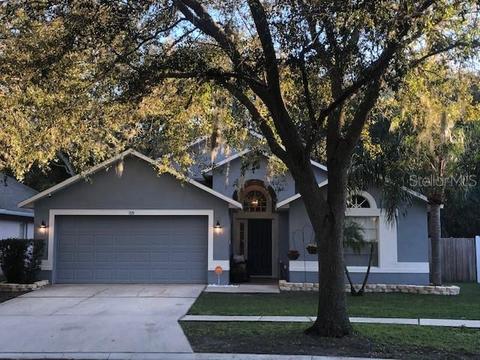 7115 Colony Pointe Dr, Riverview, FL 33578 photo 1