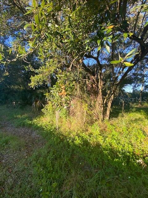 Phoenix Avenue, Oldsmar, FL 34677