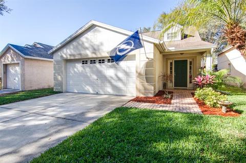 6637 Summer Haven Dr, Riverview, FL 33578 photo 1