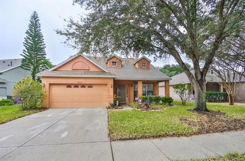 10834 Newbridge Dr, Riverview, FL 33579 photo 1