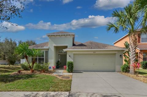 8709 Deep Maple Dr, Riverview, FL 33578 photo 1