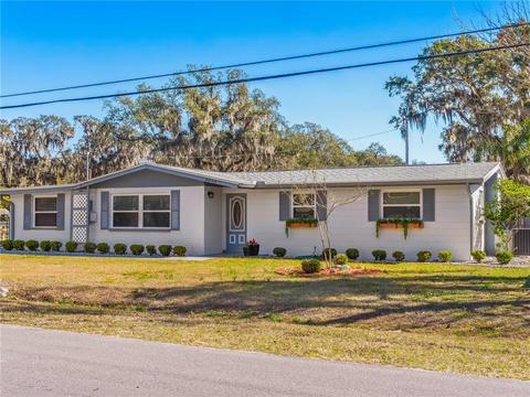 8808 Van Fleet Rd, Riverview, FL 33578 photo 1