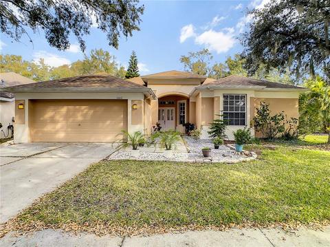 10012 Cannon Dr, Riverview, FL 33578 photo 1