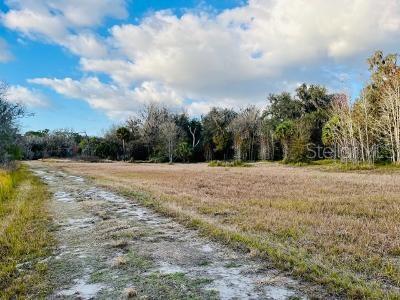 1391 E Keysville Rd, Lithia, FL 33547