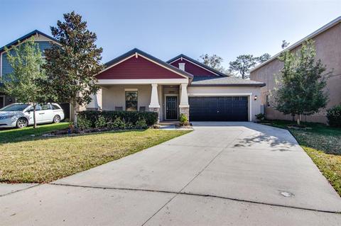 14260 Blue Dasher Dr, Riverview, FL 33569 photo 1