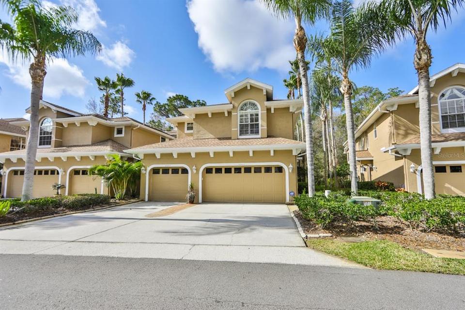 4242 Preserve Pl, Palm Harbor, FL 34685 39 Photos MLS T3358241