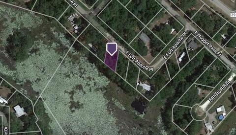 4270 E Fort Apache Pl, Dunnellon, FL 34434 photo 1