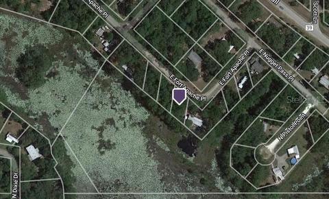 4294 E Fort Apache Pl, Dunnellon, FL 34434 photo 1