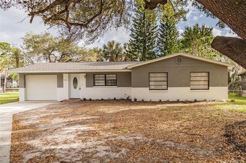 9309 Alice Ln, Riverview, FL 33578 photo 1