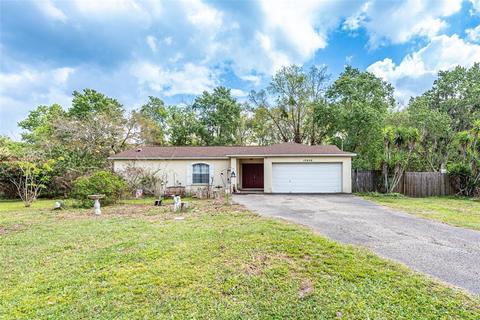 12406 Elnora Dr, Riverview, FL 33579 photo 1