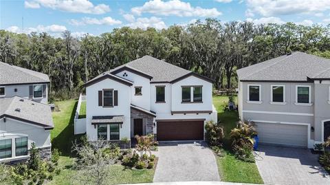 13034 Pennybrook Dr, Riverview, FL 33579 photo 1