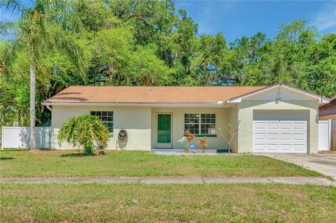 4233 Truman Dr, Seffner, FL 33584 photo 1
