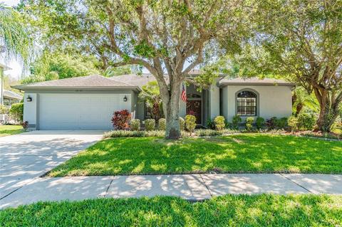 18537 Bittern Ave, Lutz, FL 33558 photo 1