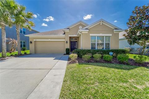 17519 Bright Wheat Dr, Lithia, FL 33547 photo 1