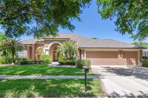 5709 Tanagerside Rd, Lithia, FL 33547 photo 1