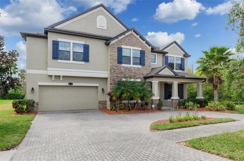 11739 Gilmerton Dr, Riverview, FL 33579 photo 1