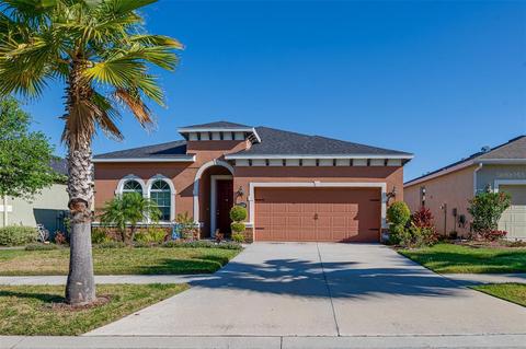 11226 Spring Point Cir, Riverview, FL 33579 photo 1