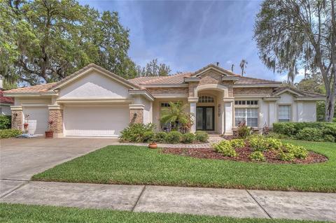 15012 Eaglepark Pl, Lithia, FL 33547 photo 1