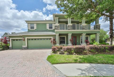 11731 Newberry Grove Loop, Riverview, FL 33579 photo 1