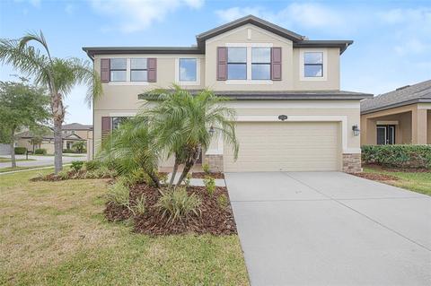 11730 Albatross Ln, Riverview, FL 33569 photo 1