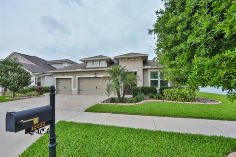 12232 Streambed Dr, Riverview, FL 33579 photo 1