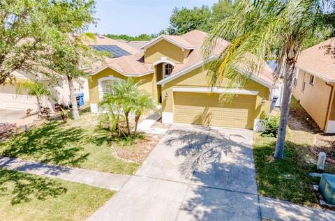 8906 Sandy Plains Dr, Riverview, FL 33578 photo 1