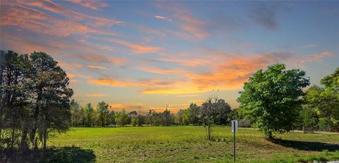 11735 Knights Griffin Rd, Thonotosassa, FL 33592