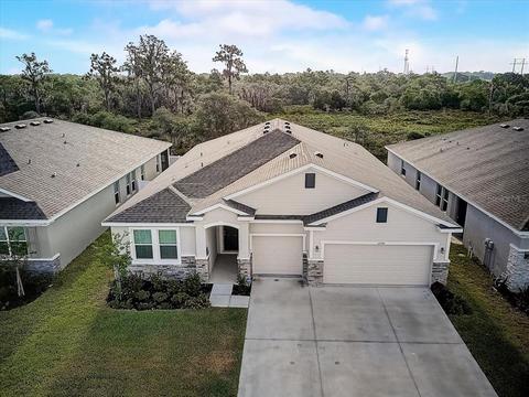 11939 Brighton Knoll Loop, Riverview, FL 33579 photo 1