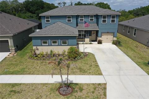 12909 Satin Lily Dr, Riverview, FL 33579 photo 1
